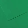 Image de Lot de 10 Feuille Mi-Teintes® 50x65 160g/m², coloris vert billard 575