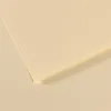 Image de Lot de 10 Feuille Mi-Teintes® 50x65 160g/m², coloris citronelle 101