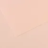 Image de Lot de 10 Feuille Mi-Teintes® 50x65 160g/m², coloris aurore 103