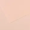 Image de Lot de 25 Feuille Mi-Teintes® A4 160g/m², coloris aurore 103