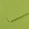 Image de Lot de 25 Feuille Mi-Teintes® A4 160g/m², coloris vert pomme 475