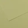 Image de Lot de 25 Feuille Mi-Teintes® A4 160g/m², coloris vert amande 480