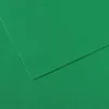 Image de Lot de 25 Feuille Mi-Teintes® A4 160g/m², coloris vert billard 575