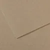 Image de Lot de 10 Feuille Mi-Teintes® 50x65 160g/m², coloris gris fumée 429