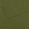 Image de Lot de 10 Feuille Mi-Teintes® 50x65 160g/m², coloris vert océan 448