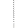 Image de Mèche à bois industrielle, pointe M 10 x 400 mm, d 10 mm