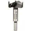 Image de Bosch Professional 1 x Mèches à façonner à mise rapportée en carbure (Ø 45 mm, accessoires perforateurs)