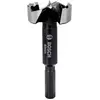 Image de Bosch Accessories Mèche Forstner (bois, Argent/Noir, 40 mm, Longueur 90 mm, accessoire pour perceuse)