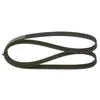 Image de BOSCH 1 987 947 887 Courroie Poly-V