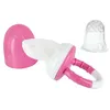 Image de dBb Remond Sucette Découverte Grignoteuse Bébé - Sucette Alimentaire Bébé avec Filet et Téterelle en Silicone sans BPA - Pour Fruits, Purée, Yaourt - Tétine pour Diversification Alimentaire - Rose