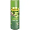 Image de ALGOFLASH - Lustrant Plantes Vertes 250 mL