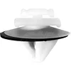 Image de Agrafes pour vehicules type peugeot-citroen Restagraf Ref: 12030