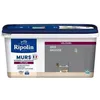 Image de RIPOLIN Peinture Couleur Velours pour Murs Boiseries Radiateurs - Gris ardoise
