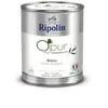 Image de Peinture murs, boiseries et radiateurs blanc satin velouté Ripolin O'pur 2 L