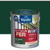 Image de Extrême fer base vert basque RAL 6005 brillant - RIPOLIN - 2 L