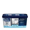 Image de RIPOLIN PEINTURE ANTI-HUMIDITE 25L
