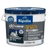 Image de RIPOLIN Peinture Mat Façade 2 en 1 Avec Sous- Anthracite