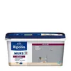 Image de RIPOLIN Peinture Couleur Velours pour Murs Boiseries Radiateurs - Gris galet