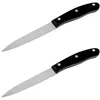 Image de Nirosta 9325950B Couteaux d'Office 22 cm Lame Pointue Tranchante Inox Plastique Set de de Cuisine Lot de 2 Dimensions 22 x 5 x 1,6 cm Garantie 3 ans