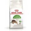 Image de ROYAL CANIN Outdoor | Pack de 3 | 3 x 400 g | Nourriture sèche pour Chats | pour Les Chats Adultes (de 1 à 7 Ans) Qui sortent Souvent et Font régulièrement de l'exercice