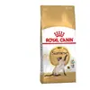 Image de Royal Canin Siamese Nourriture pour Chat 2 kg