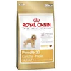 Image de Royal Canin Breed Caniche Nourriture sèche pour chien adulte Chiens de petite race de petite taille