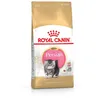 Image de Royal Canin Kitten Food Persian 32 Dry Mix 4 kg