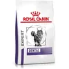 Image de ROYAL CANIN Expert DENTAL | 1,5 kg | Aliment complet pour chats adultes | Pour les sensibilités de la cavité buccale | Pour soutenir la santé dentaire | Complexe contre les boules de poils
