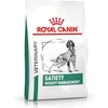 Image de ROYAL CANIN Veterinary Satiety Weight Managemant | 1,5 kg | Aliment complet pour chiens en surpoids | Réduction de l'obésité