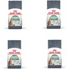 Image de Royal Canin Digestive Care | Pack de 3 | 3 x 400 g | Aliment Complet pour Chats Adultes | avec prébiotiques