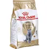 Image de ROYAL CANIN British Shorthair Adult | 4 kg | Alimentation complète pour Chats | avec Oméga-3