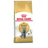 Image de Royal Canin - Nourriture pour British Shorthair - 1 x 10 kg