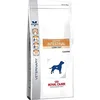 Image de Royal Canin Veterinary Diet Dog Gastro Intestinal Low Fat LF22 6 kg