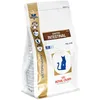 Image de Royal Canin Veterinary Gastrointestinal Feline | Pack de 3 | 3 x 400 g | Nourriture sèche pour Chats | Peut Aider en Cas de Troubles Gastro-intestinaux chez Les Chats