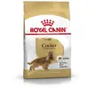 Image de Royal Canin Cocker Adult - sac de 12 kg/Croquettes pour chien Cocker adulte