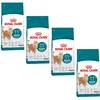 Image de Royal Canin Ageing Sterilised 11+ | Pack de 3 | 3 x 400 g | Nourriture sèche pour chats stérilisés à partir de 11 ans | Formule avec le Complexe HealthyAge7  | Contient des croquettes faciles à mâcher
