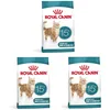Image de ROYAL CANIN AGEING 15+ | Pack de 3 | 3 x 400 g | Nourriture sèche pour Chats Seniors à partir de 15 Ans | Formule avec Le Complexe HealthyAge7  | Contient des croquettes faciles à mâcher
