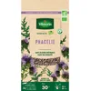 Image de Vilmorin - Graines de Phacélie BIO, sachet de 60 grs