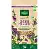 Image de Vilmorin - Graines de Luzerne Flamande BIO, sachet de 60 grs