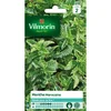 Image de Menthe Marocaine