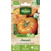 Image de Tomate Ananas - BIO