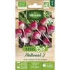 Image de Radis National 3 - BIO
