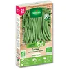 Image de Haricot Nain Vert Cupidon - 20 m - BIO