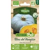 Image de Potiron Bleu de Hongrie - BIO