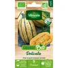 Image de Vilmorin-3485742-COURGE DELICATA BIO VL 2