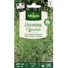 Image de Verveine Officinale
