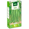 Image de Haricot Nain Vert Divinel
