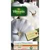 Image de Vilmorin Pâtisson Blanc