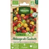 Image de Sachet de Graines de Tomates Cerises Bio Vilmorin: Couleurs et Saveurs en Mélange