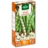 Image de Vilmorin 1150451 Pack de Graines Haricot Coco Nain Blanc Précoce